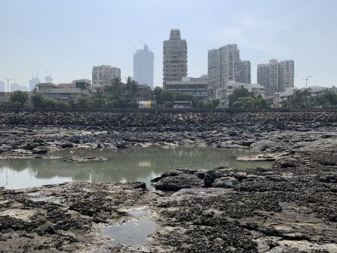 Urban landscape with air quality issues