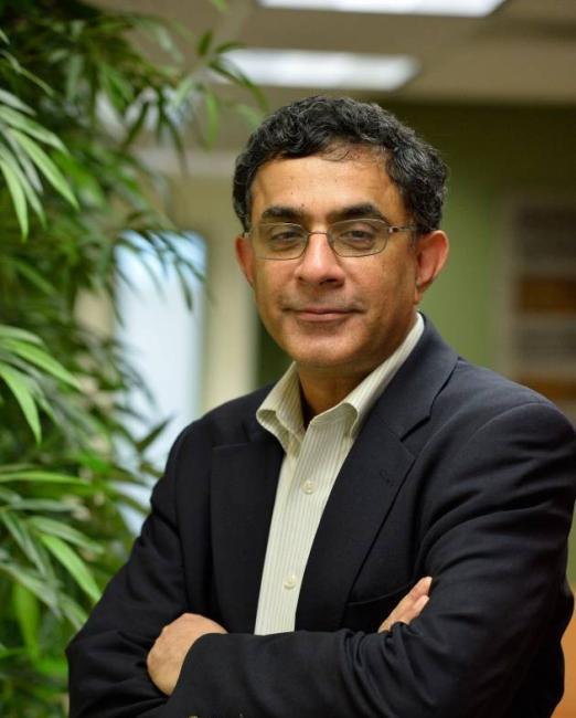 Devesh Kapur