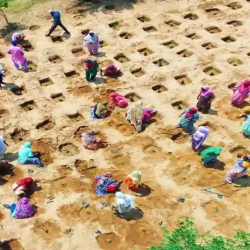 Rural India