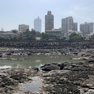 Urban landscape with air quality issues